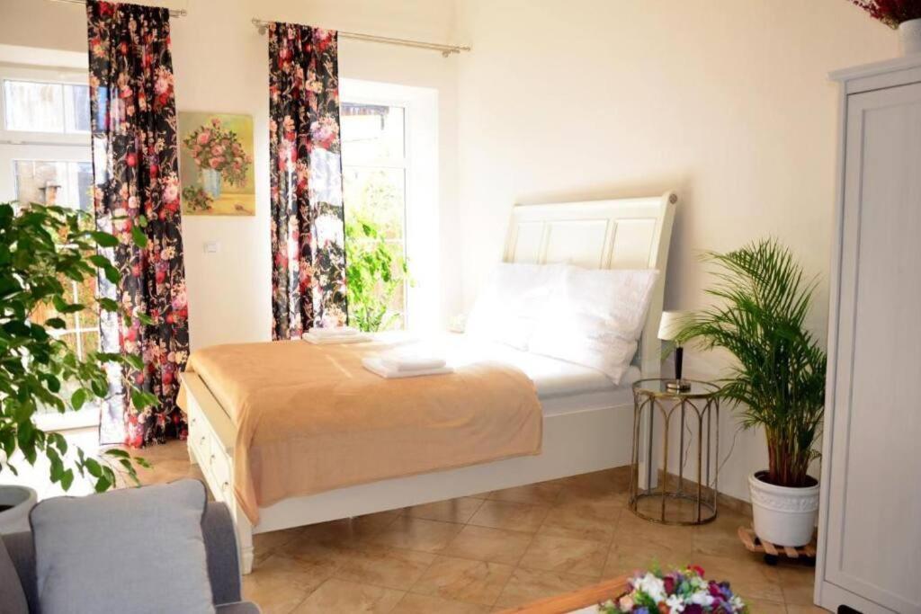 Apartment Elizabeth 1 科希策 外观 照片